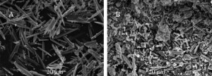 Perbedaan morfologi mikrokristal (A) needle-like Sb8O11Cl2(H2O)6 dengan proses sonokimia frekuensi rendah dan (B) kristal tak-beraturan Sb8O11Cl2(H2O)6 MCs dengan proses pengadukan biasa